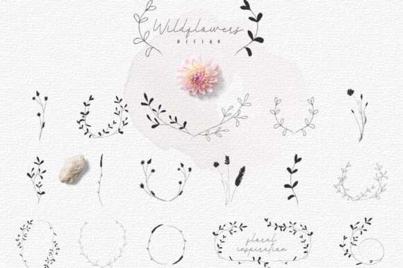 Download Hand-drawn Botanic Elements. Herb, Plant - Plant Collection