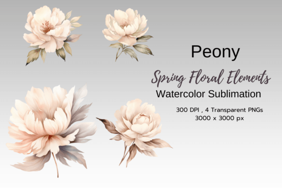 Download Peony Spring Florals Clipart Png - Spring florals Collection