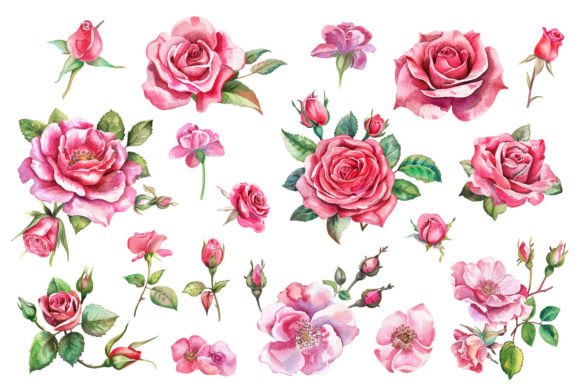 Download Pink Roses, Printable Watercolor Clipart - Watercolor clipart Collection