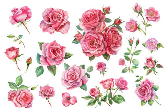 Download Pink Roses, Printable Watercolor Clipart - Watercolor clipart Collection