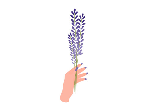 Download Hand Bunch Lavender Violet Flowers Plant - Plant Collection