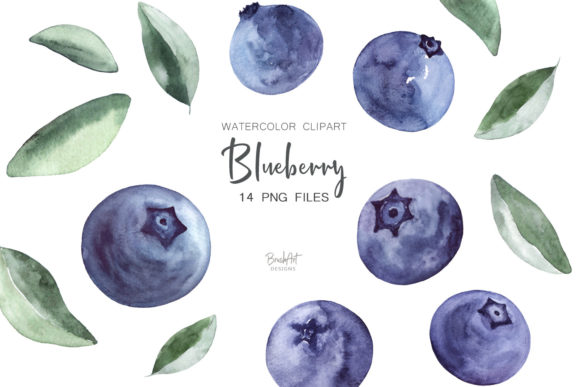 Download Blueberries Watercolor Clipart - Watercolor clipart Collection