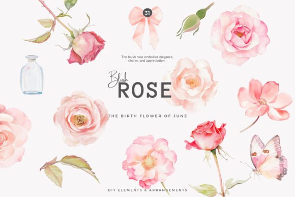 Download Watercolor Clipart Birth Month Flower - Watercolor clipart Collection