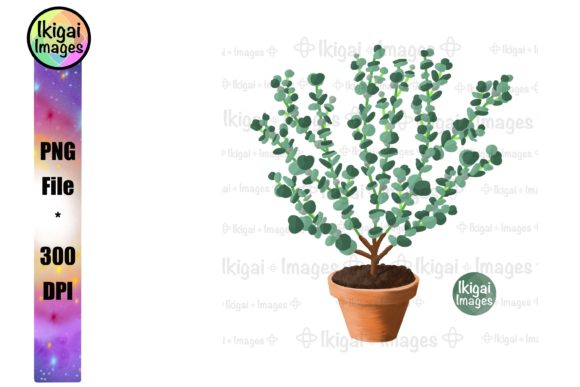 Download Eucalyptus, Potted Plant, Greenery, PNG - Plant Collection