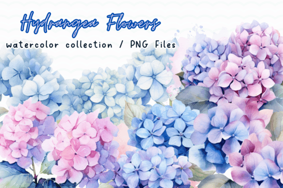 Download Hydrangea Flowers Watercolor Clipart - Watercolor clipart Collection