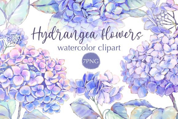 Download Hydrangea Flowers Watercolor Clipart - Watercolor clipart Collection