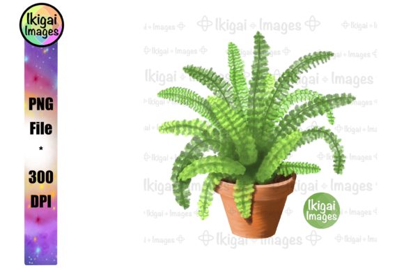 Download Fern, Potted Plant, Greenery, PNG File - Plant Collection