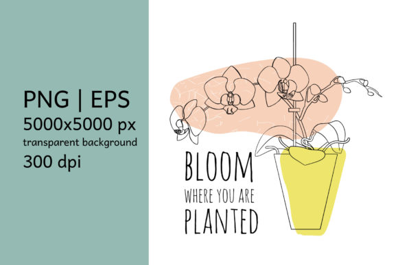 Download Bloom Where You Are Planted Quote - Premium Resources