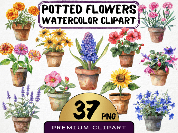 Download Potted Flowers Clipart Bundle 37 PNG - Potted flowers clipart Collection