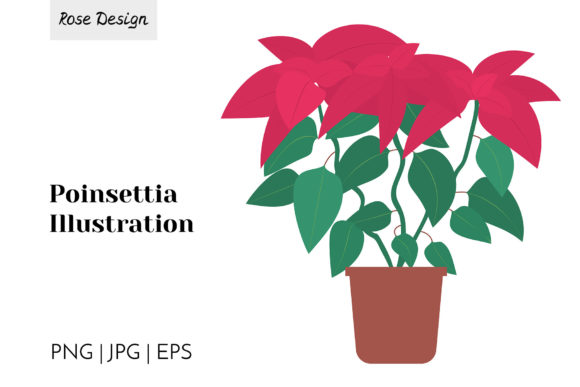 Download Poinsettia Christmas Plant Vector - Premium Resources