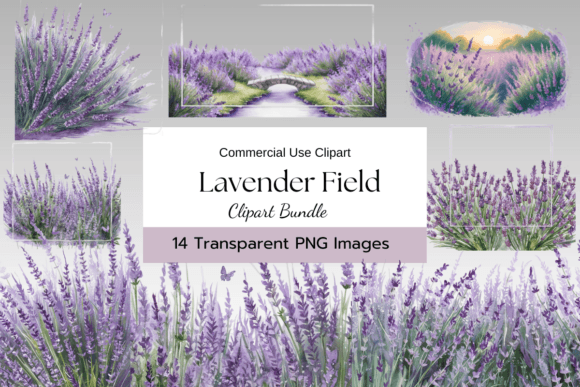 Download Lavender Field Clipart Pack - Lavender field Collection