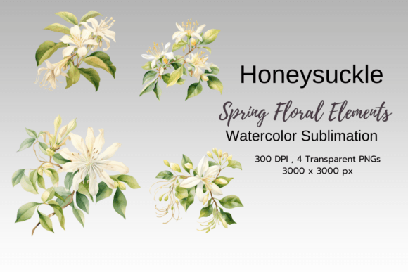 Download Honey Suckle Spring Florals - Spring florals Collection