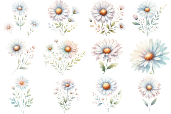 Download 12 Daisy Watercolor Clipart Bundle - Watercolor clipart Collection