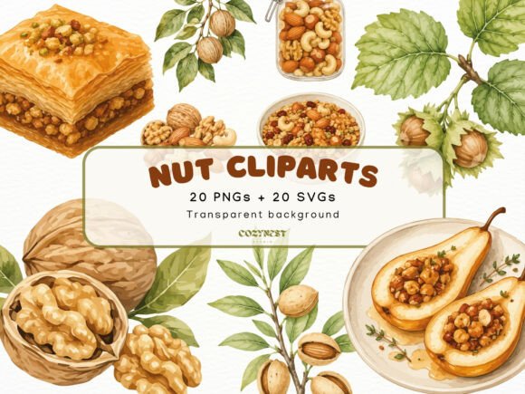 Download Nut Watercolor Cliparts, Botanical PNG - Watercolor clipart Collection