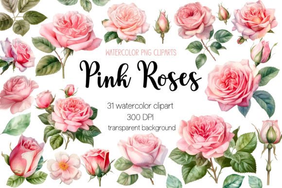 Download Pink Roses Watercolor Clipart Bundle - Watercolor clipart Collection