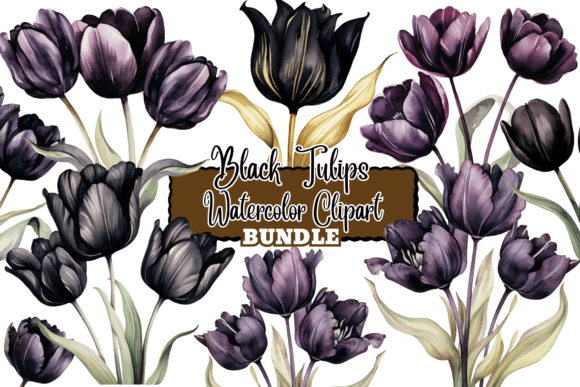 Download Black Tulips Flowers Watercolor Clipart - Watercolor clipart Collection