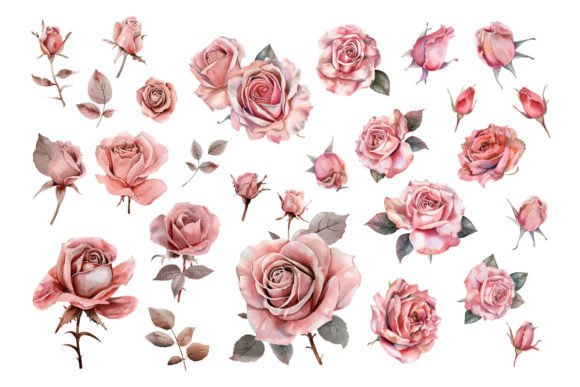 Download Pink Roses, Printable Watercolor Clipart - Watercolor clipart Collection
