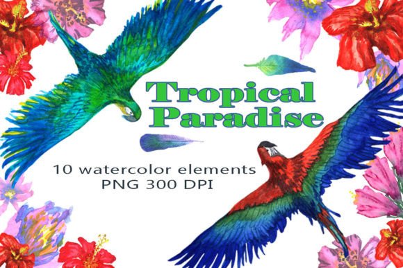 Download Tropical Paradise Watercolor Clipart - Watercolor clipart Collection