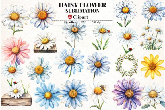 Download Daisy Flower Watercolor Cliparts - Watercolor clipart Collection