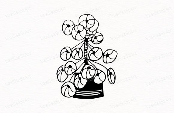 Download Potted Flower, House Plant - Plant Collection