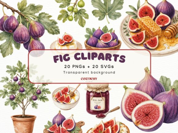 Download Fig Watercolor Cliparts, Botanical PNG - Watercolor clipart Collection